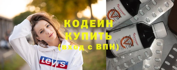 2c-b Пестово