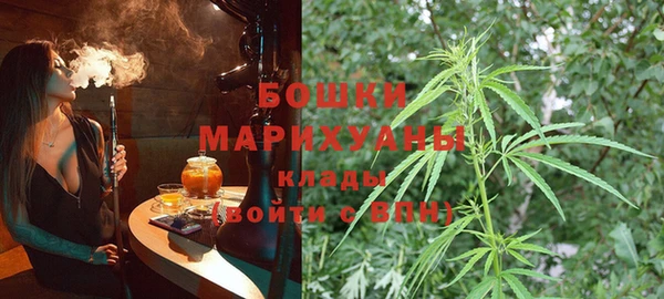 2c-b Пестово