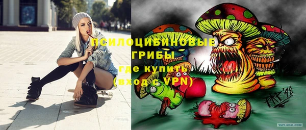 2c-b Пестово