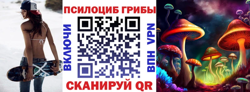 Псилоцибиновые грибы Psilocybe  Ярцево 