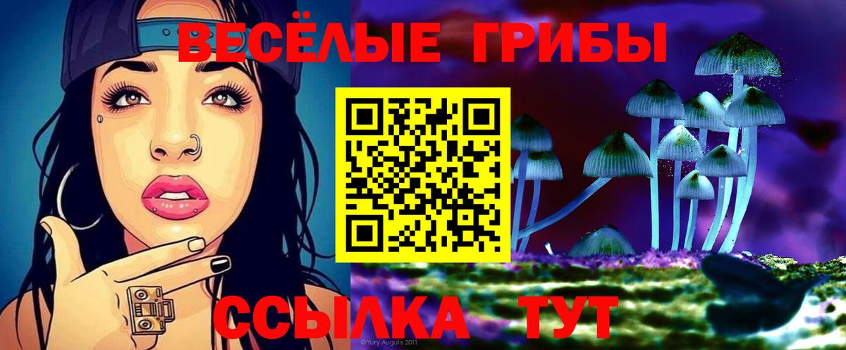 Псилоцибиновые грибы мухоморы  Вход с VPN  Ярцево 